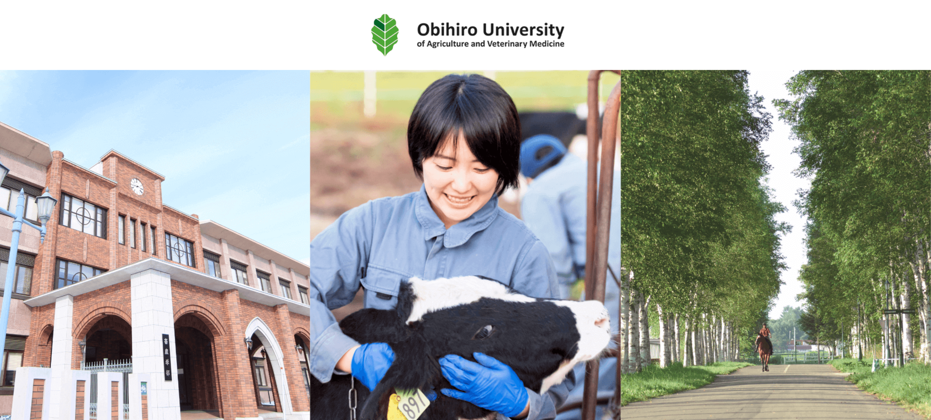 Obihiro University of Agriculture and Veterinary Medicine
