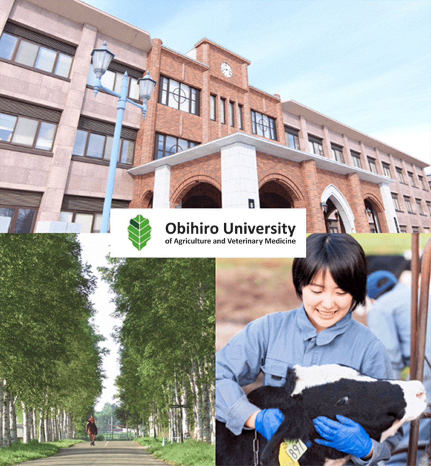 Obihiro University of Agriculture and Veterinary Medicine