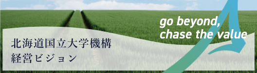 北海道国立大学機構経営ビジョン