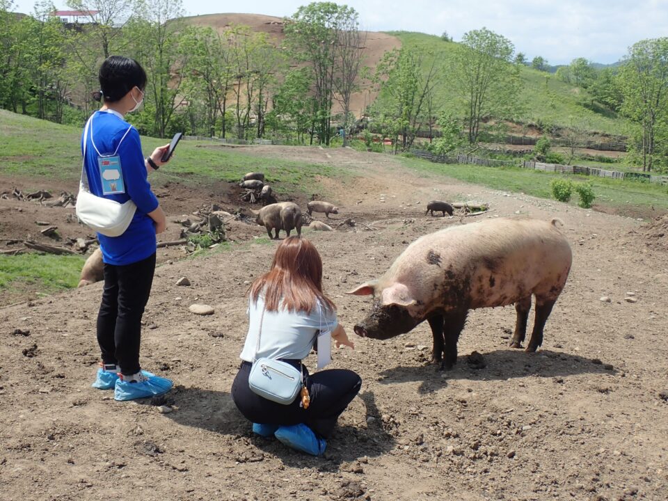 【帯広畜産大学】十勝の産業を知る旅「十勝旅～初夏のお肉編～」を開催しました